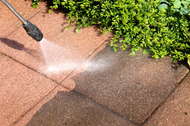 Best House Pressure Washing  in Clinton, WA
